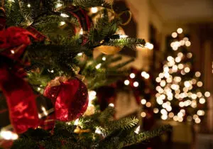 close up of christmas tree