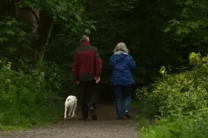 couple and their dog walking in park