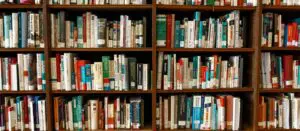 Assorted Books on Book Shelves